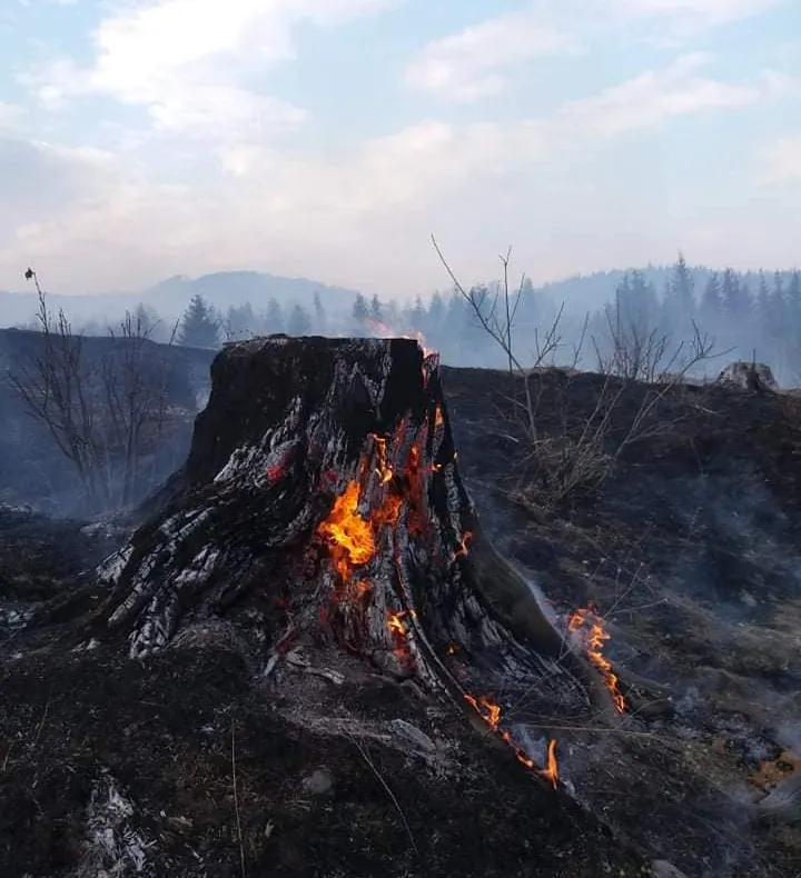 FOTO Pompierii harghiteni au luptat cu mai multe incendii de vegetaţie