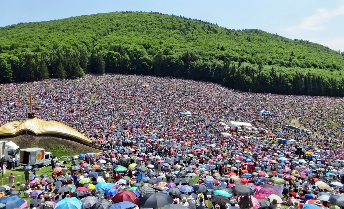 650.000 de puieţi plantaţi la Şumuleu Ciuc, cadou simbolic pentru Papa Francisc