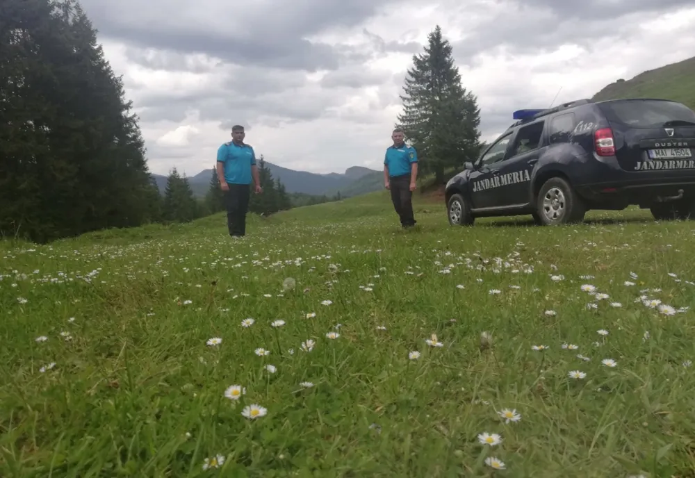 5 intervenții pentru înlăturarea urşilor și amenzi de 1.900 lei - Bilanţul Jandarmeriei Harghita în mini vacanţa de Rusalii