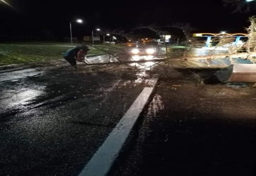 FOTO Copaci căzuți pe carosabil, pe DN15