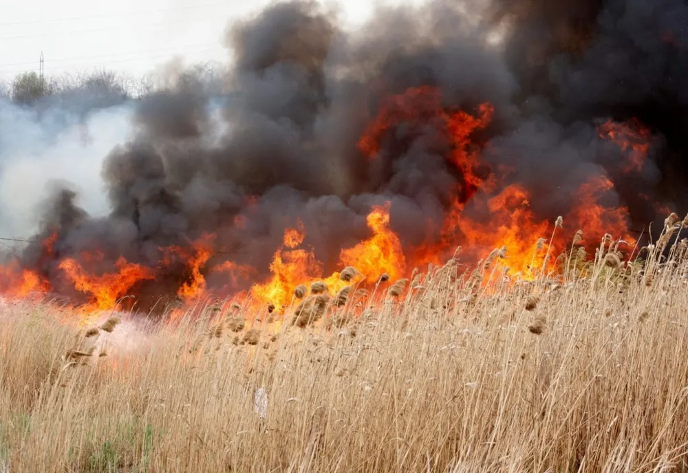 6 incendii de vegetație, în weekend, în județul Harghita