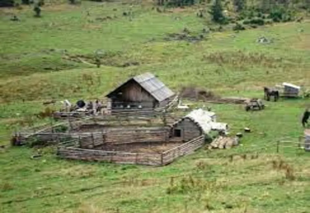 Hoț din Răucești, găsit la o stână lângă Toplița