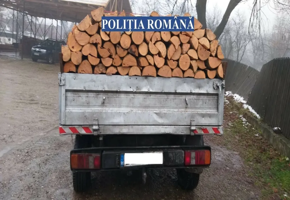 Sancţionat silvic, cercetat rutier