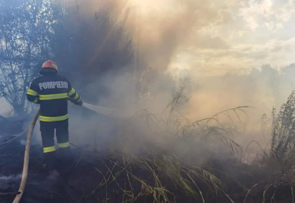 Pompierii din Harghita intervin de aproape 24 de ore la un incendiu de vegetație