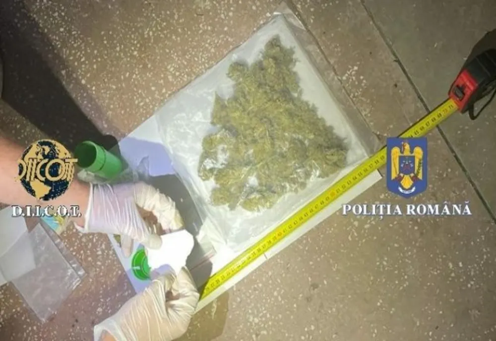 DIICOT a găsit cocaină, canabis și ciuperci halucinogene la un festival de muzică electronică din Harghita