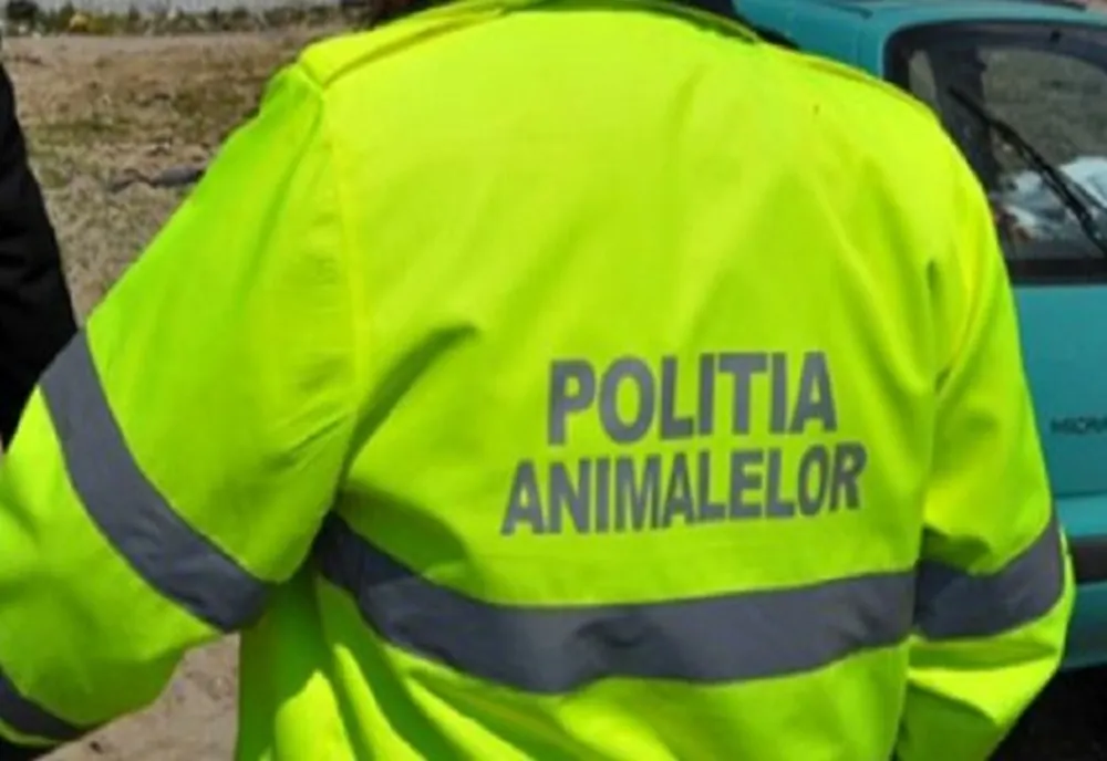 Dosar penal pentru că își ținea animalele în condiții precare