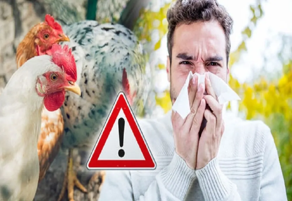 Alertă sanitară: Gripa aviară a ucis un om! Avertismentul medicilor: Vaccinul antigripal ajută!