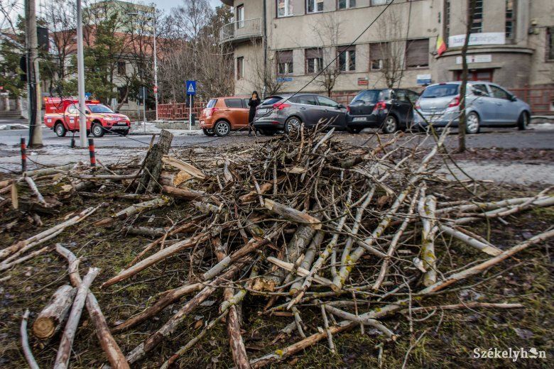 ULTIMA ORĂ Probleme cauzate de vânt în judeţul Harghita. Crengi rupte şi 3.500 de oameni fără curent (FOTO)