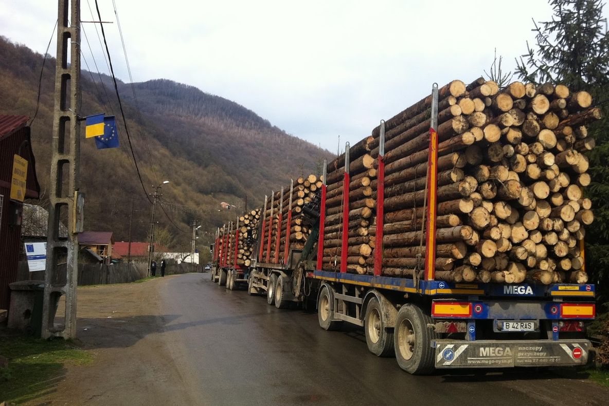 Camioanele cu lemne interzise pe drumurile din Harghita