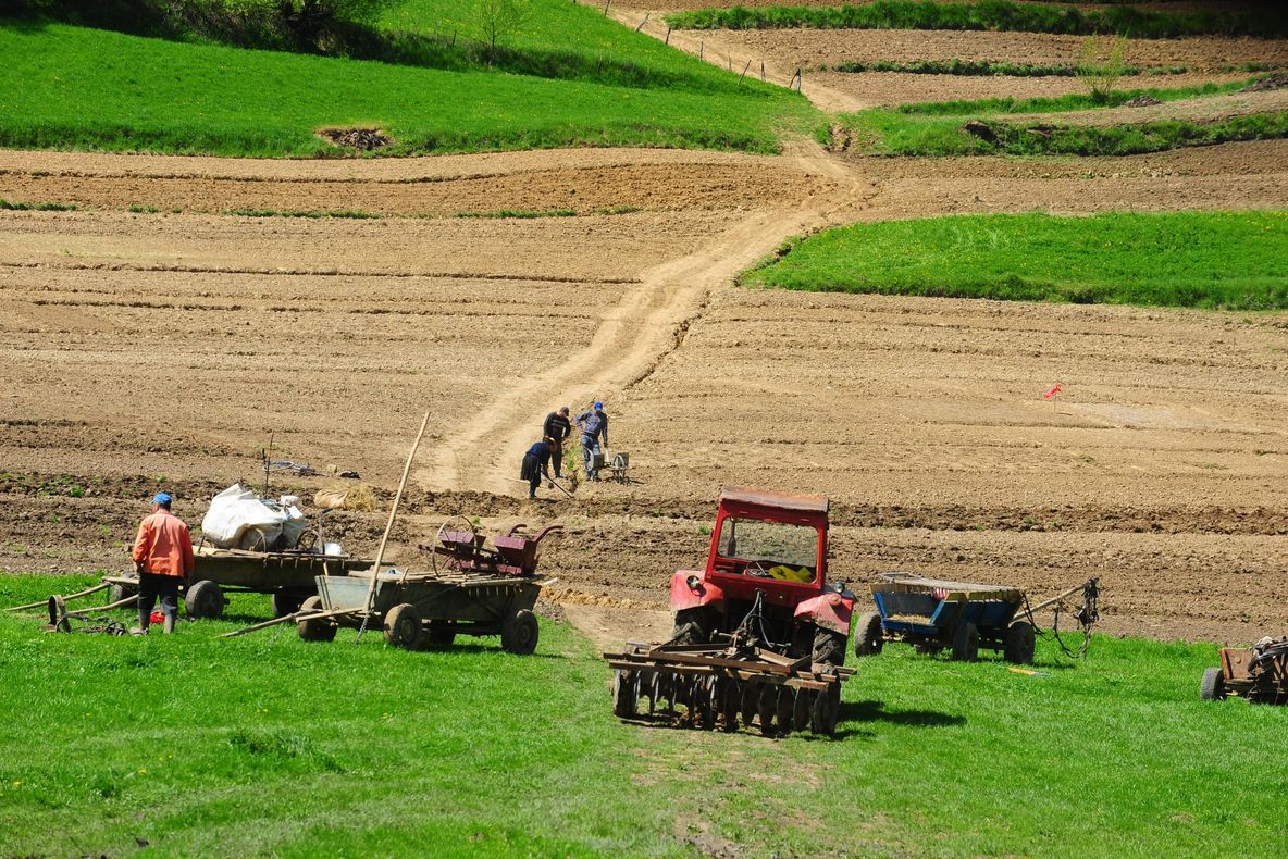 Prețurile terenurilor agricole în Harghita, între 4.000 și 7.000 de euro/ ha