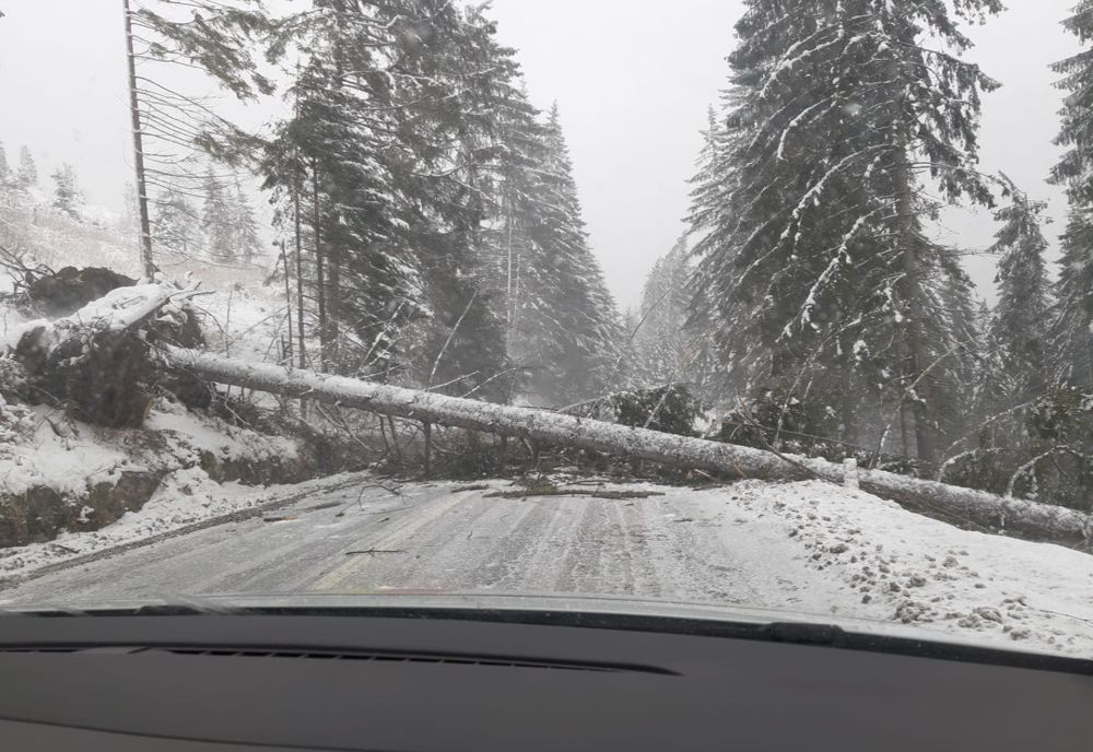 Sectoare de drum închise, copaci căzuți și peste 2.000 de harghiteni fără curent electric
