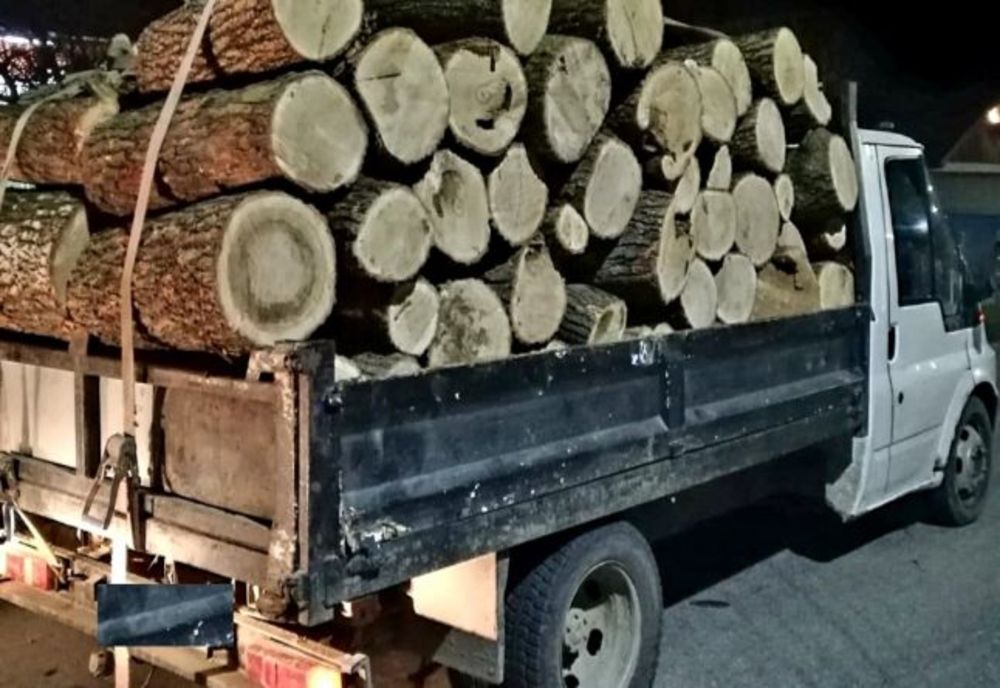4 transporturi ilicite de material lemnos, la Gheorgheni, Dealu şi Ditrău, interceptate de IPJ Harghita. Oamenii legii au aplicat amenzi de 12.000 lei 