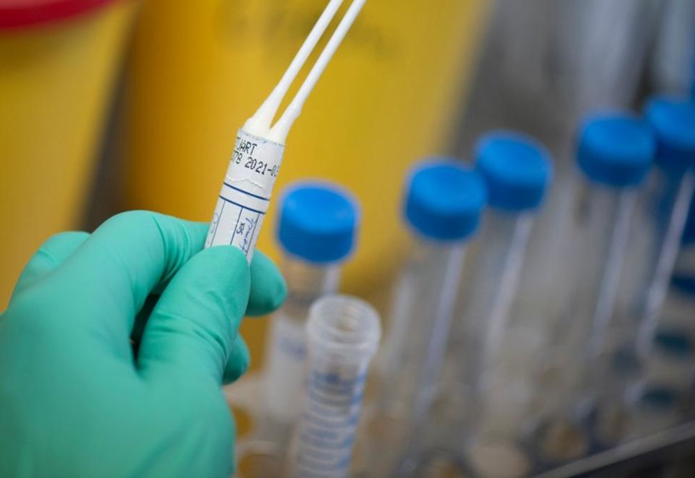 4 cazuri de coronavirus în Harghita. Bilanţul în ţară ajunge la 5.202
