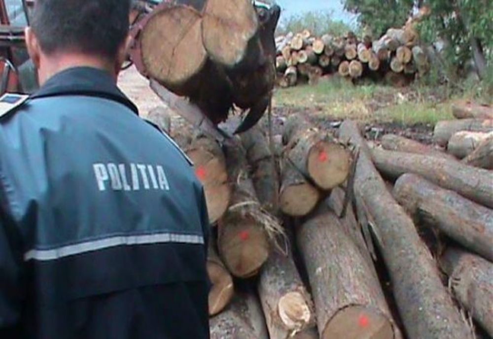 Dosare penale și amenzi de peste 140.000 lei în județul Harghita în urma unor controale la agenții forestieri 