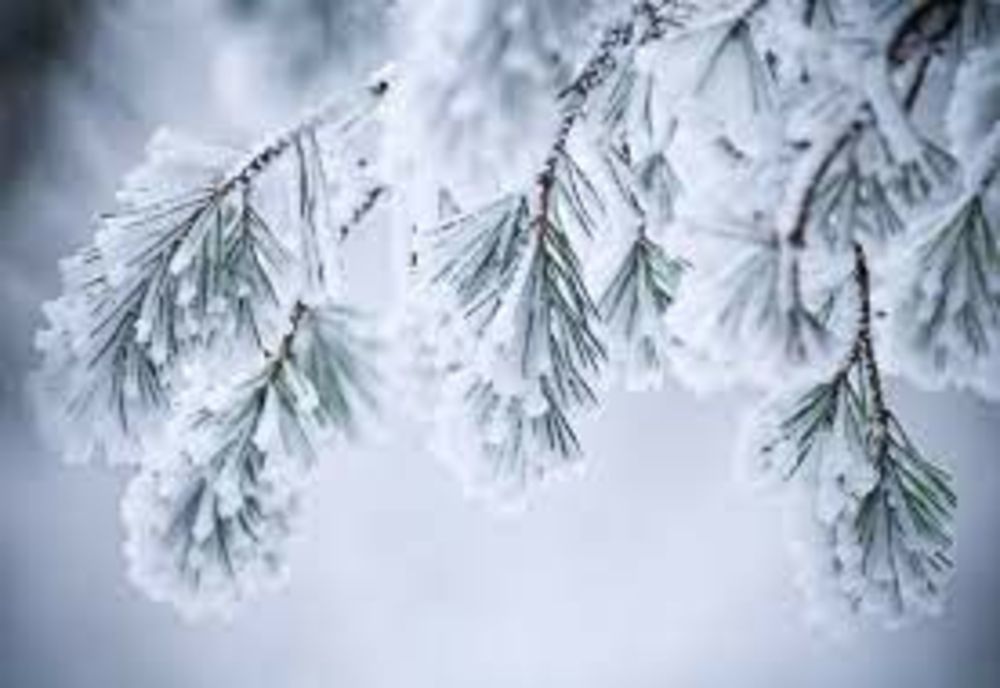 Cum va fi vremea de Crăciun şi Revelion. Prognoza meteo pentru următoarele patru săptămâni