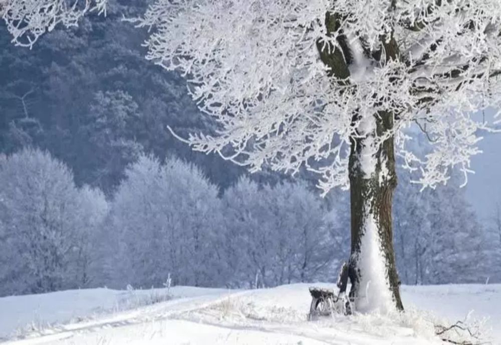 Prognoza meteo 7 martie. Strat nou de zăpadă, în majoritatea regiunilor - maximele abia ating 6 grade Celsius
