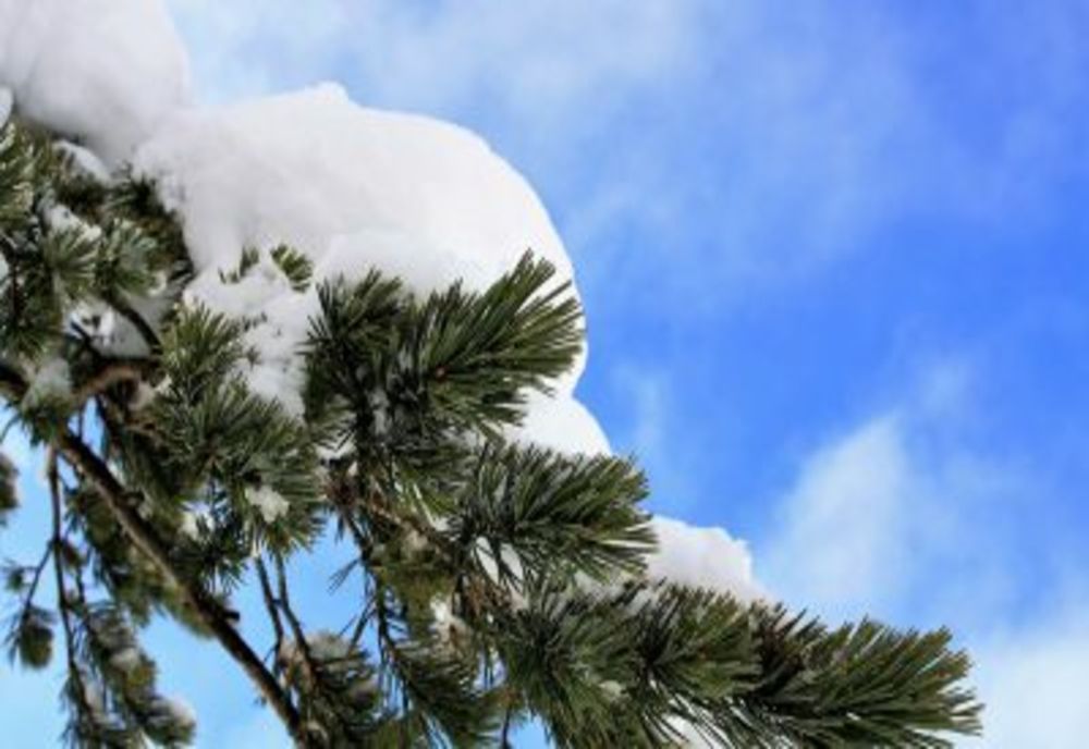 Când vin ninsorile în România - meteorologii au anunțat ce fel de iarnă vom avea