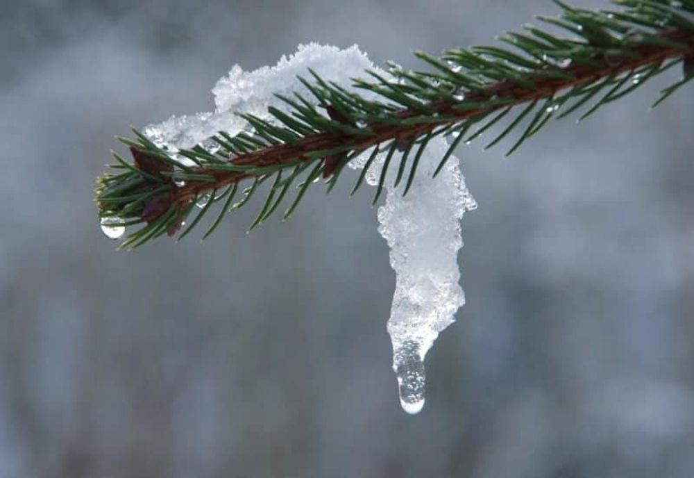 Astăzi valorile termice vor fi uşor mai ridicate decât în mod normal. În ce zone va fi mai cald
