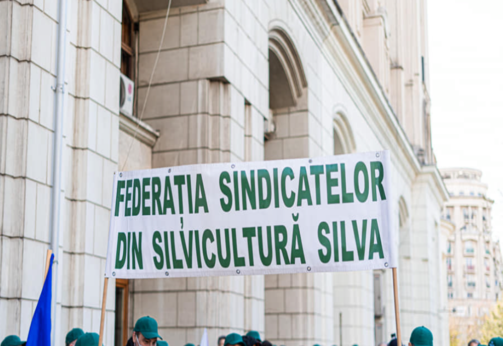 SIVICULTORII ORGANIZEAZĂ UN MITING MIERCURI, ÎN PIAȚA VICTORIEI 