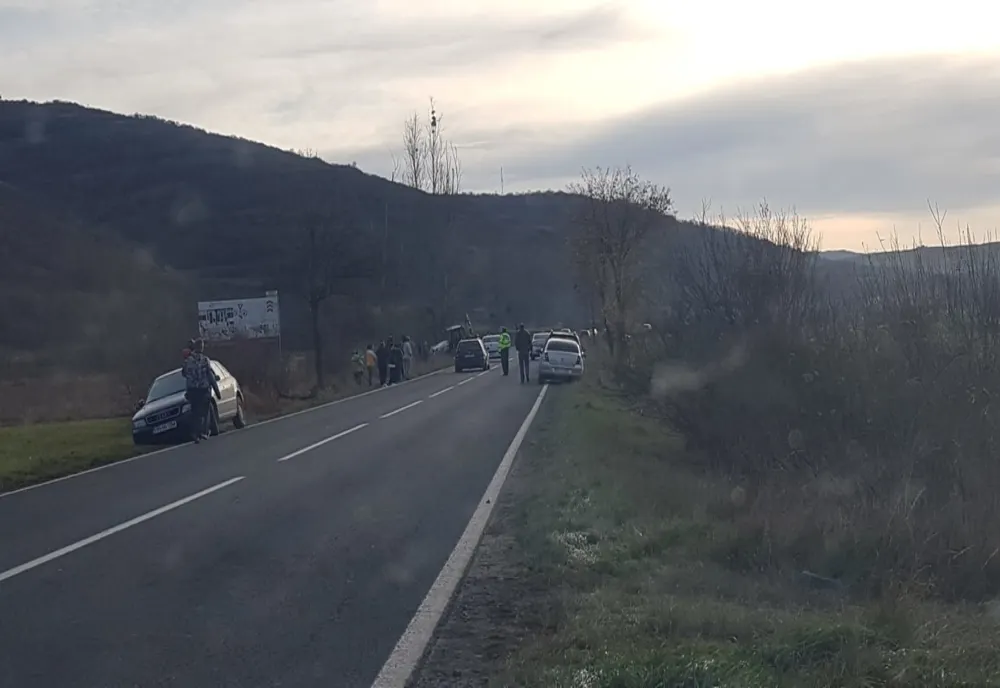 Alt urs rănit de o maşină, la Praid