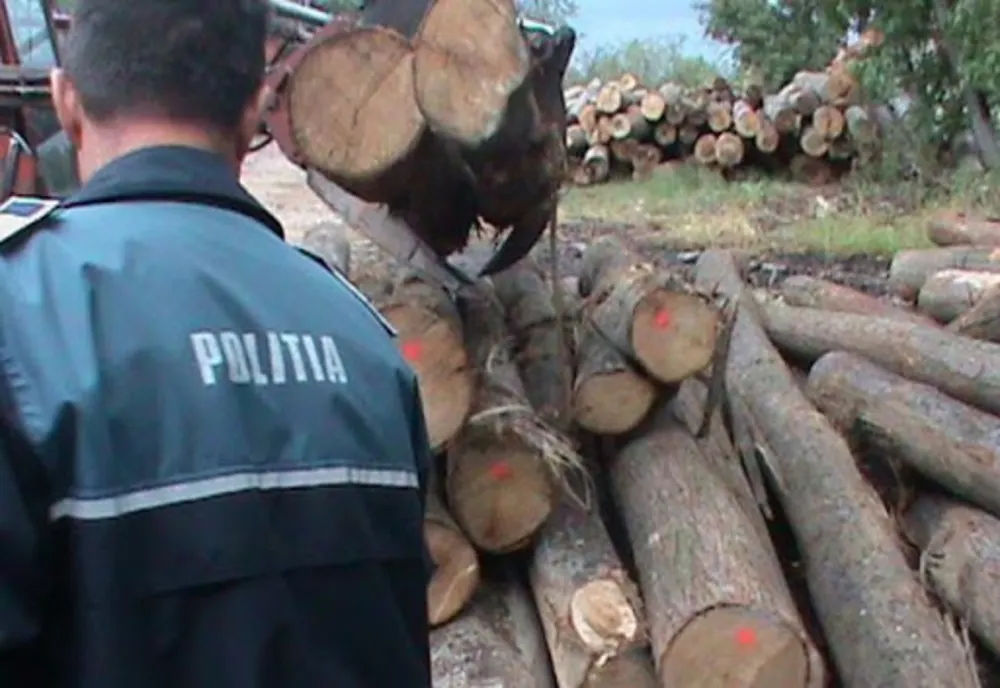 3.000 lei amendă după ce au fost prinși transportând ilegal lemne