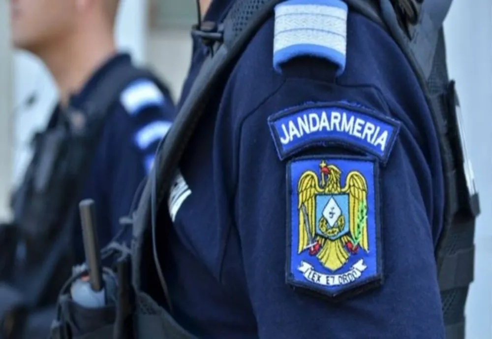 5 apeluri la 112, în weekend, pentru intervenții la urşi