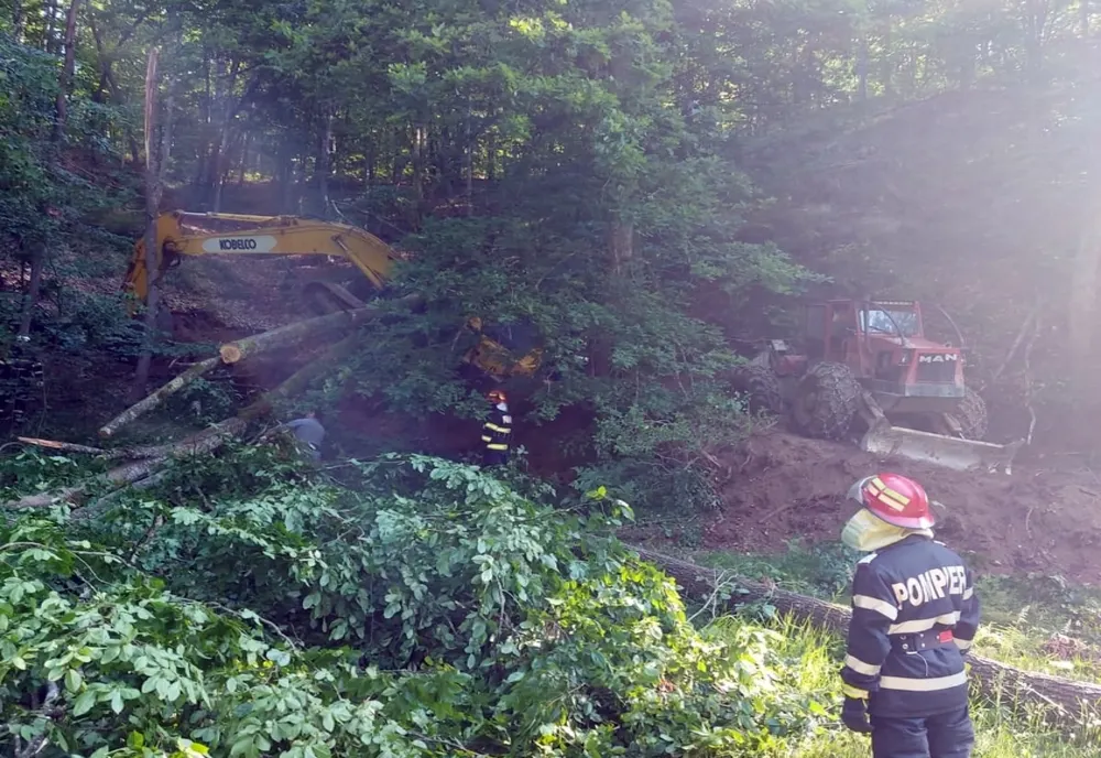 Incendiu de fond forestier, în județul Harghita