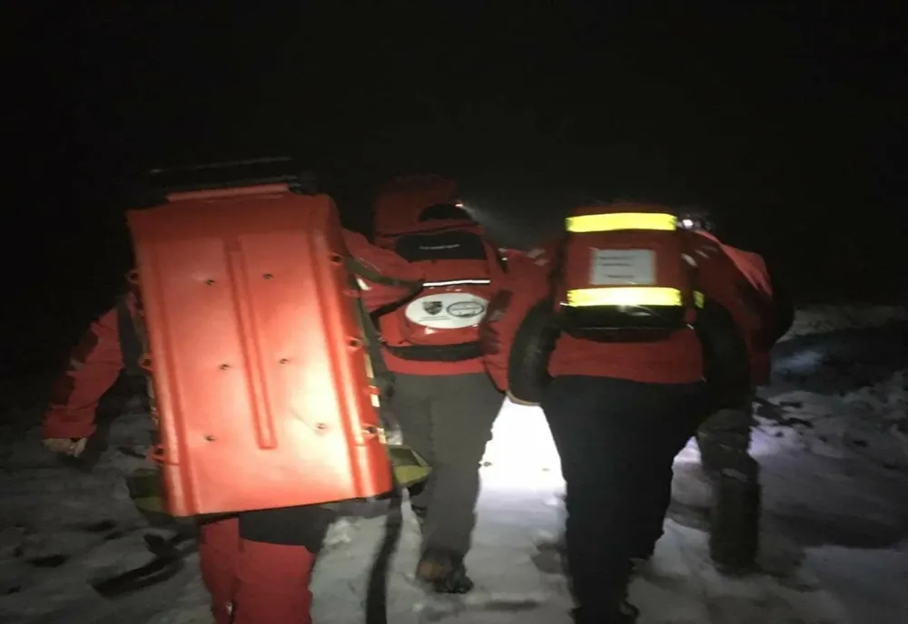 Persoană găsită DECEDATĂ într-o cabană din pădure, după ce ar fi fost atacată de urs