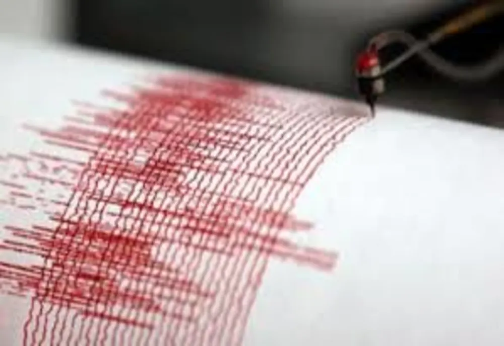 Cutremur de 7,3 grade, în Indonezia: a fost emisă alertă de tsunami