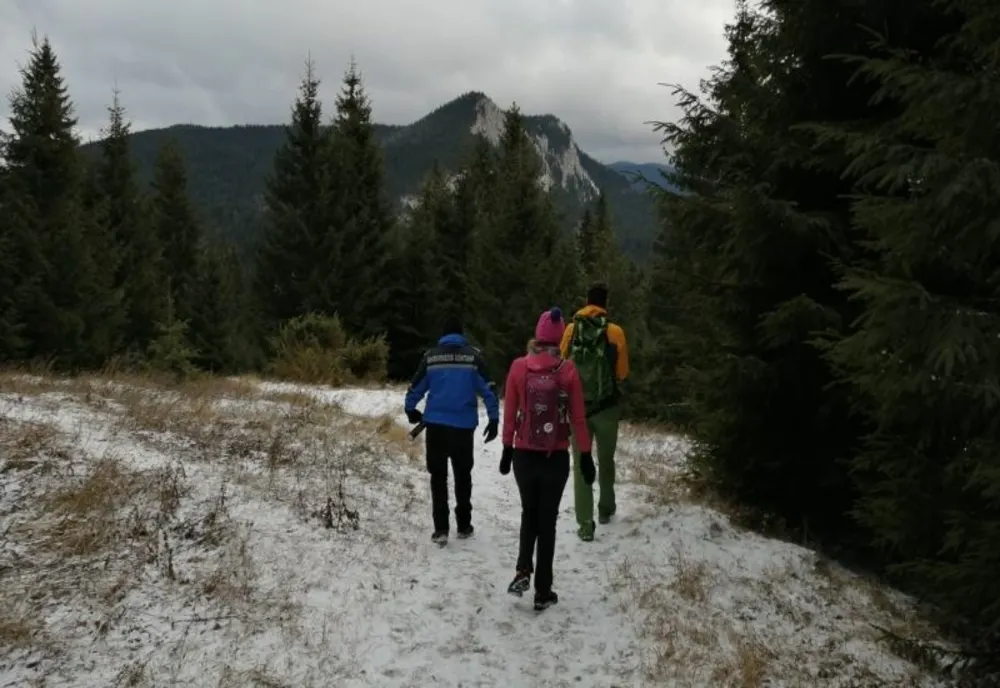 Turiști întorși din drum după ce au văzut pe munte o ursoaică cu pui