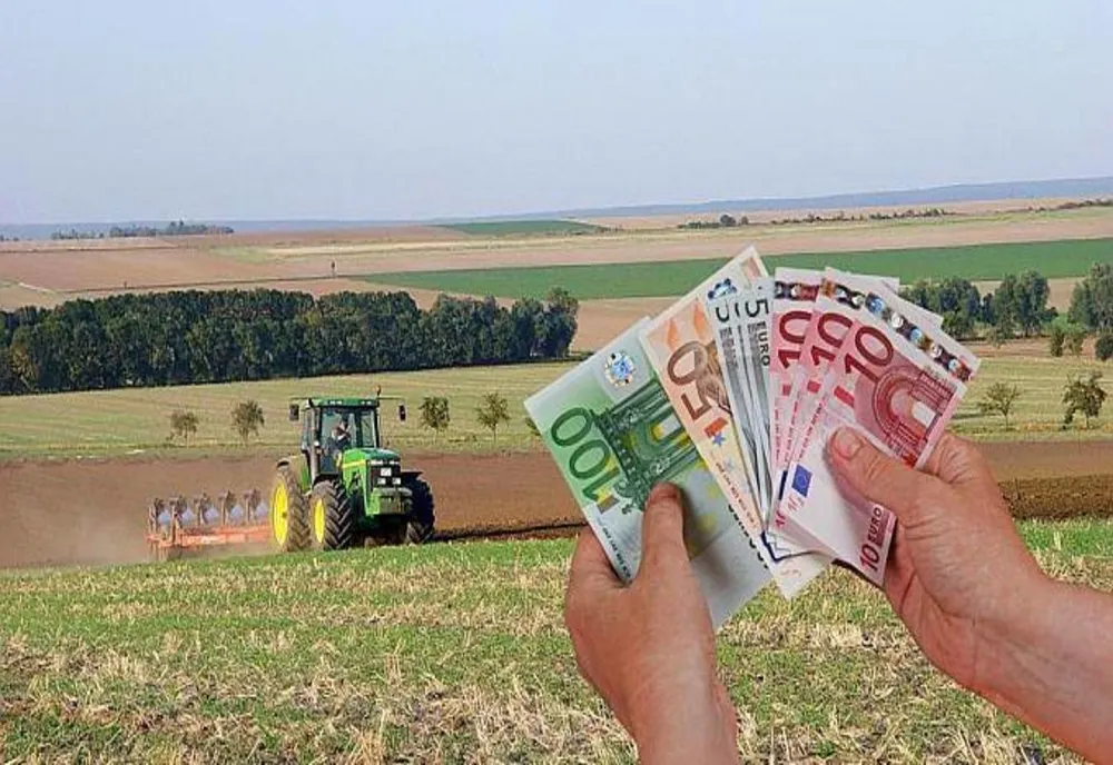 Aproximativ 25.000 de fermieri din Harghita au depus cereri de subvenţie la APIA