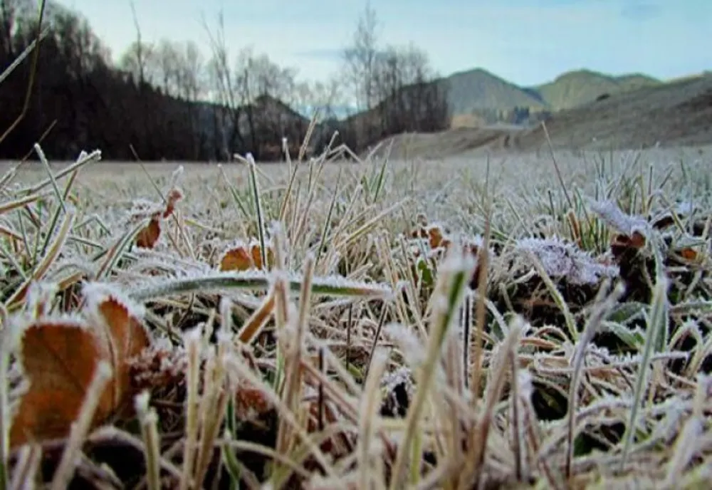 VREMEA 19 MARTIE. TEMPERATURI SCĂZUTE DIMINEAȚA ȘI NOAPTEA