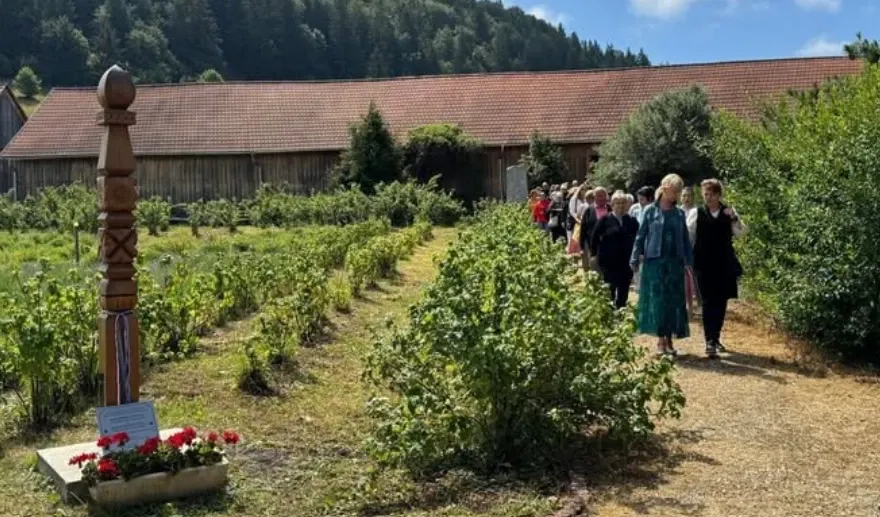 Zilele Plantelor Medicinale Sursa foto: Consiliul Judeţean Harghita / Facebook