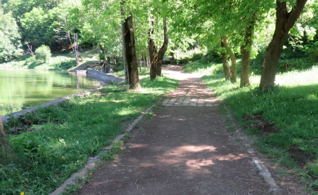 Foto1-alei-piste-biciclete