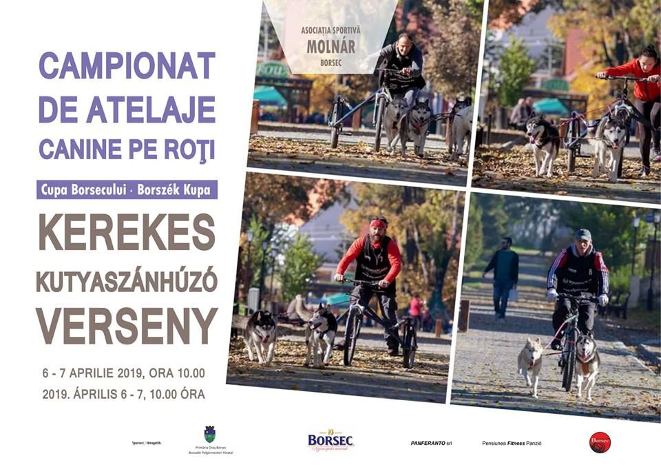 Cupa-Borsecului-la-atelaj-canin-6-7.04.2019-ora-10