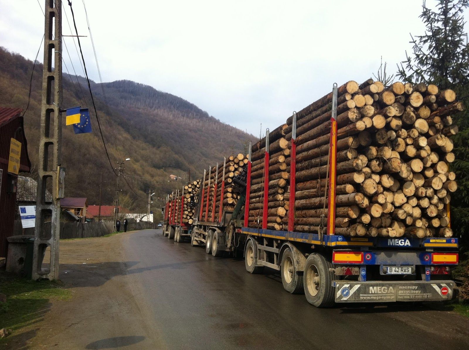 camion-cu-lemne