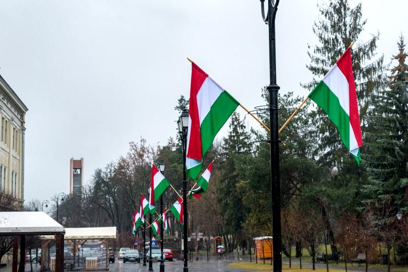 steaguri-ungaria-sfantu-gheorghe.jpg