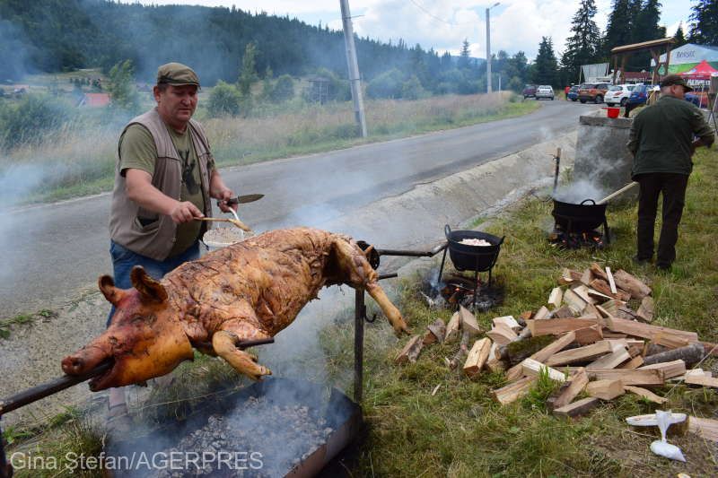 ceaunfestival