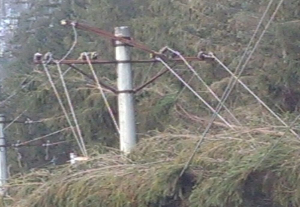 Copaci doborâți de vânt în Harghita. Două localități, nealimentate cu energie electrică