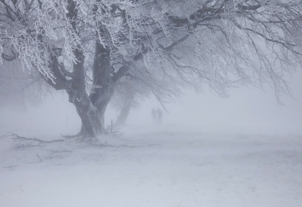 Temperaturi extreme în România. Zonele lovite de ger și viscol - avertisment ANM
