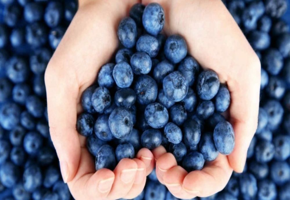 Care este cel mai hrănitor fruct de pe pământ? Are un rol uriaș pentru sănătate