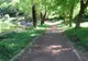 Străzi reabilitate şi piste de biciclete la Băile Tuşnad