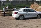 18.000 de lei amendă pentru furt de lemne