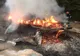 UPDATE FOTO Incendiu în apropiere de Topliţa. Doi oameni ajunşi la spital cu arsuri pe faţă şi pe mâini