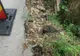 Se caută firmă care să repare drumul dintre Atid şi Firtănuș