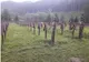 10.000 de oameni aşteptaţi la comemorarea soldaţilor secui, în Cimitirul Valea Uzului