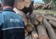 Furt de lemne și mașină răsturnată: amenzi totale de 9.000 lei aplicate de polițiștii harghiteni 