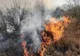 Incendiul de vegetaţie de la Mediaş, Gheorgheni, lichidat de pompierii harghiteni după aproape 20 de ore