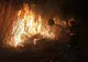Un nou incendiu de vegetație uscată. Pompierii harghiteni intervin în apropiere de Lacu Roșu