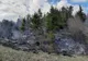 Incendiile de vegetaţie uscată, un pericol